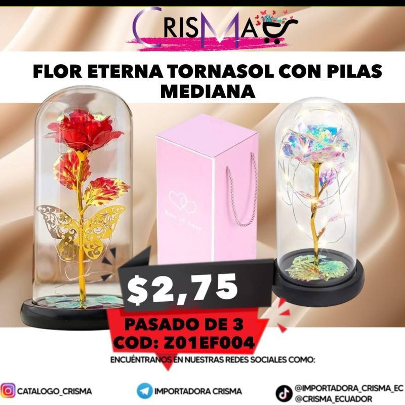 FLOR ETERNA TORNASOL CON PILAS