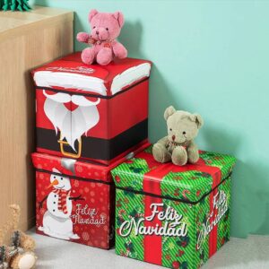 ORGANIZADOR CAJA NAVIDEÑA