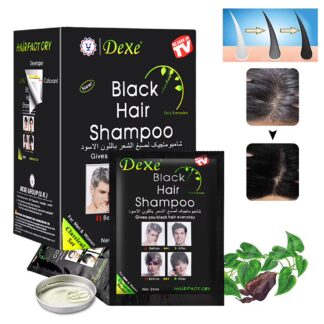 SHAMPOO DEXE TAPA CANAS X10 NEGRO